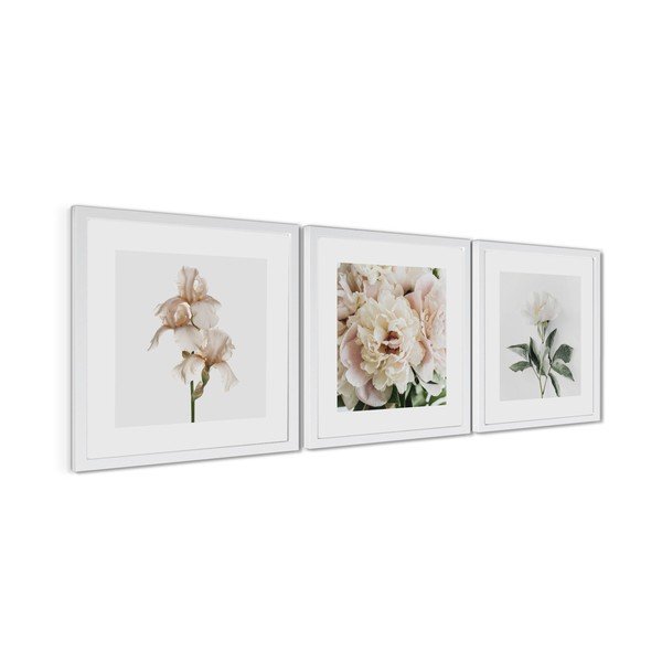 Set di dipinti stampati con cornice inclusa 3 pz 30x30 cm Posy – Styler-image-4