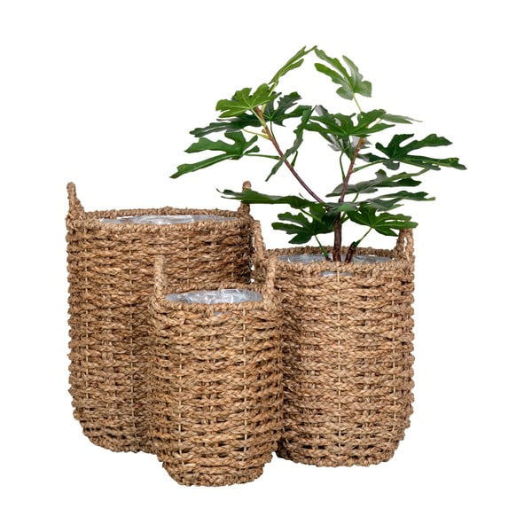Set di coprivasi in seagrass 3 pz ø 31 cm Hue - House Nordic-image-2
