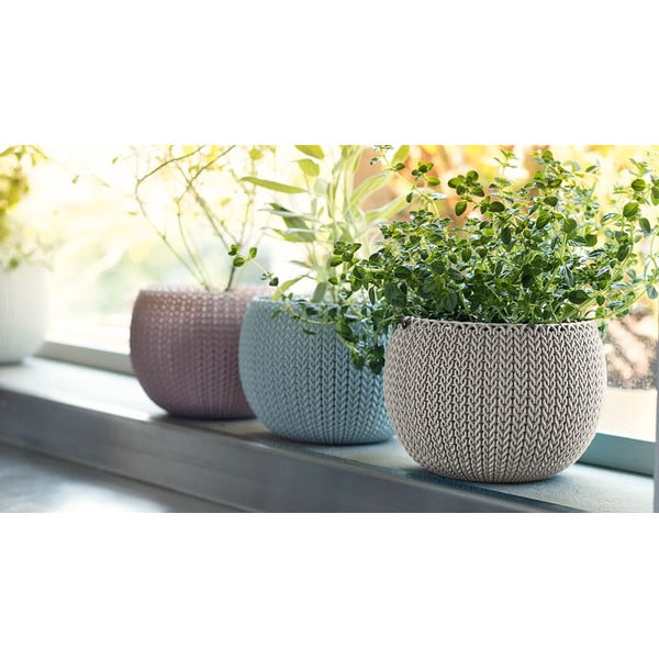 Vasi in plastica in set da 3 pezzi ø 15 cm Cozy - Keter-image-1