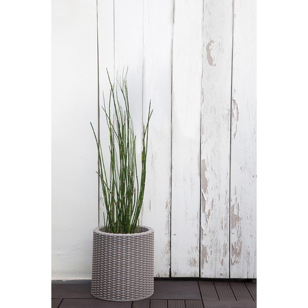 Vaso in plastica ø 28 cm Cylinder - Keter-image-1