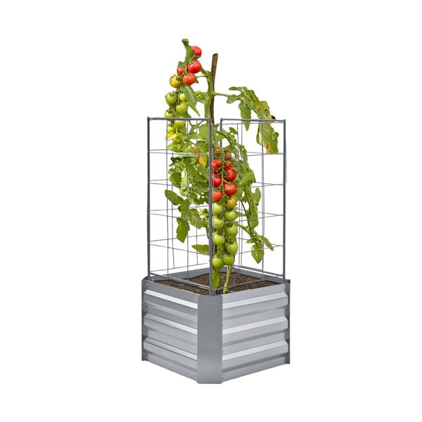 Cassetta rialzata per coltivazione Dahlia - Garden Pleasure-image-2