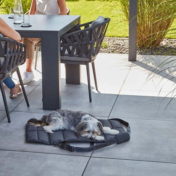 Letto da viaggio grigio scuro per cani 70x100 cm Strada Asphalt M - MiaCara-image-2