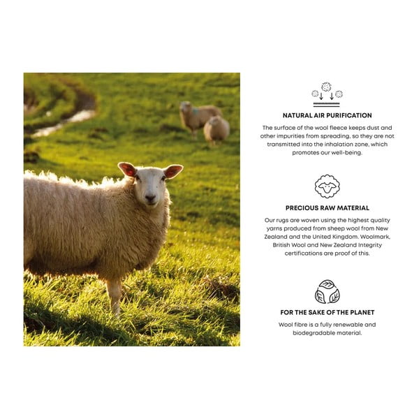 Tappeto in lana grigio chiaro 240x340 cm Talwin - Agnella-image-4