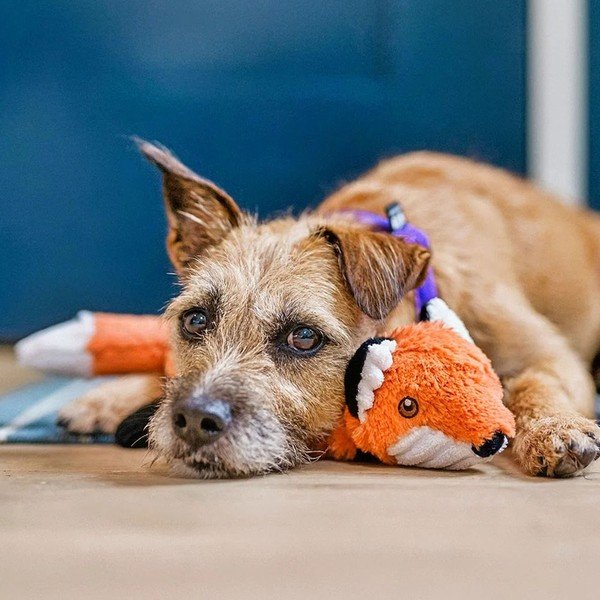 Giocattolo per cane Fox - P.L.A.Y.-image-1