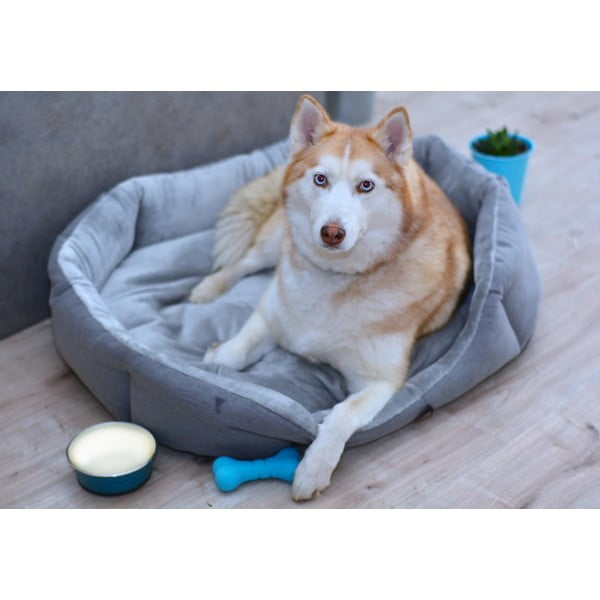 Letto in pile grigio 90x70 cm Alík - Petsy-image-1