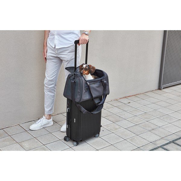 Trasportino per cani 28x55 cm Volata Asphalt S/M - MiaCara-image-2