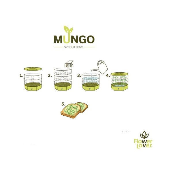 Vasetto per germogli in plastica ø 17 cm Mungo – Flower Lover-image-2