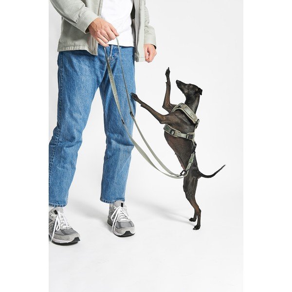 Pettorina verde taglia XS lunghezza 25 cm Modena Grolive XS - MiaCara-image-2