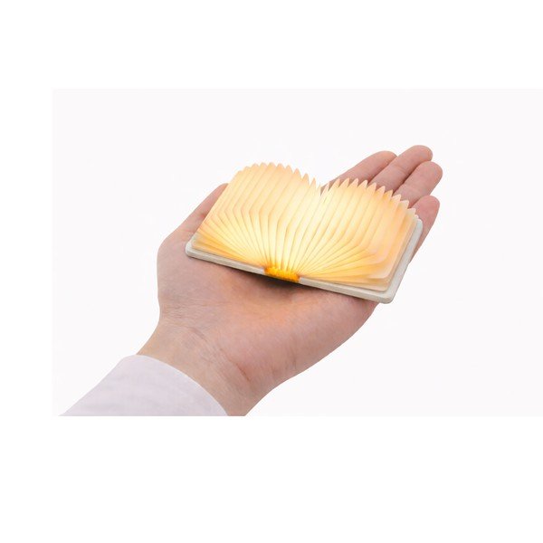 Decorazione luminosa bianca con ricarica USB portatile BookLight – Gingko-image-3