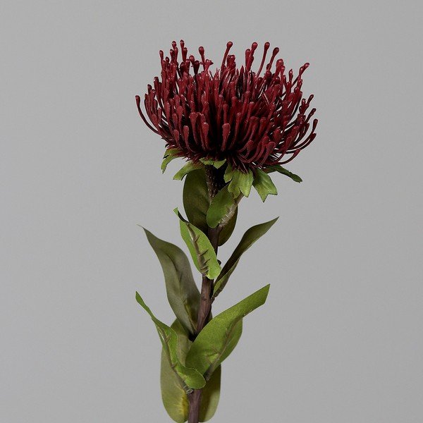 Fiore artificiale (altezza totale 74 cm) Protea – Ego Dekor
