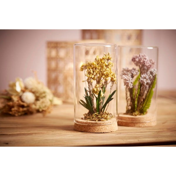 Pianta essiccata Parma - Côté Table-image-1