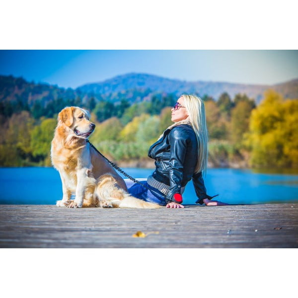 Guinzaglio verde taglia L 3 Neon - Lishinu-image-4