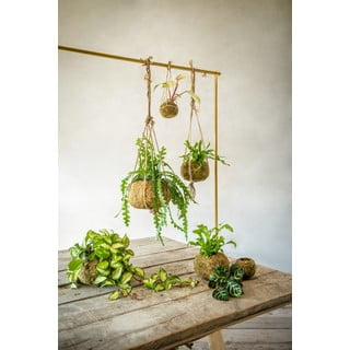 Vaso ø 9 cm Kokedama - Esschert Design