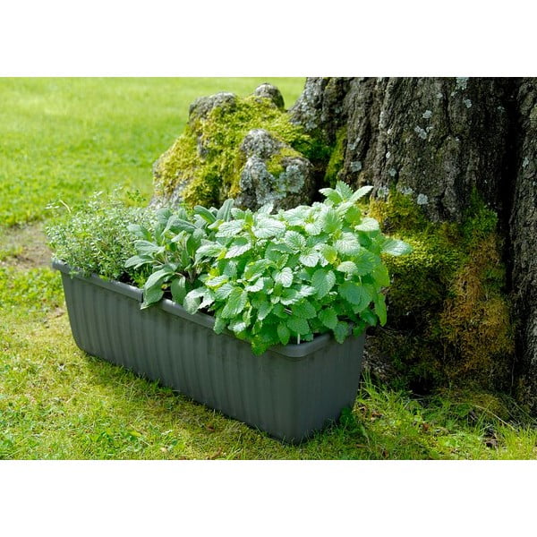 Cassetta di plastica per l'irrigazione 80 cm Siesta - Plastia-image-1