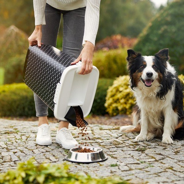 Cassetta nera per pellet 25 l Cody - Rotho-image-2