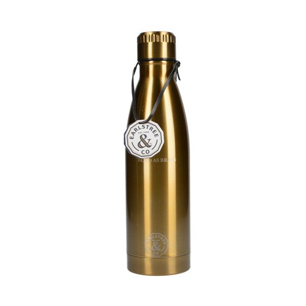 Bottiglia da viaggio in acciaio inox Creative Tops Earlstree, 550 ml - Creative Tops-image-1