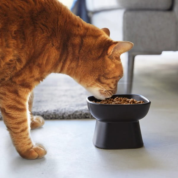 Ciotola in ceramica per animali domestici Tower - YAMAZAKI-image-1