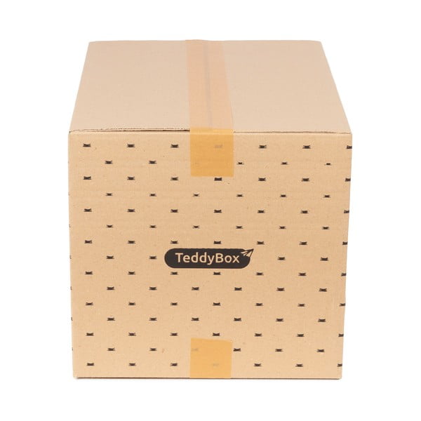 Set di 2 scatole portaoggetti beige Teddy, 42 x 30 cm - Compactor