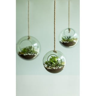 Aerario in vetro ø 15 cm - Esschert Design
