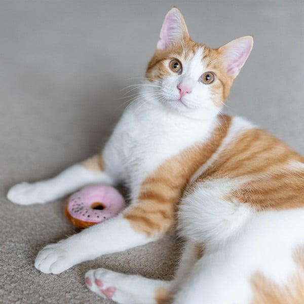 Giocattoli per gatti in set da 3 Donuts - P.L.A.Y.-image-2