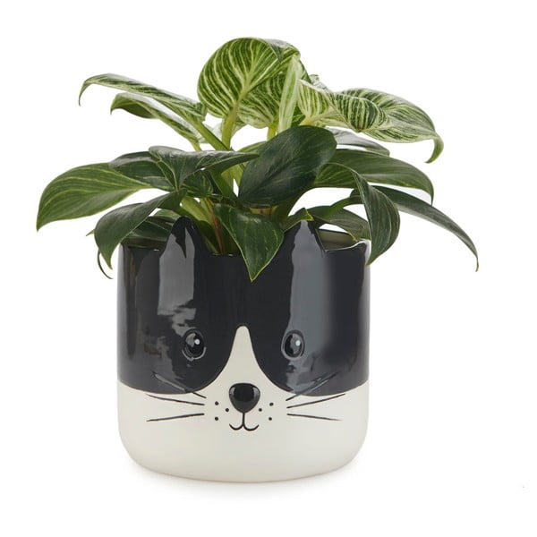 Vaso in ceramica ø 13,5 cm Kitty - Balvi-image-1