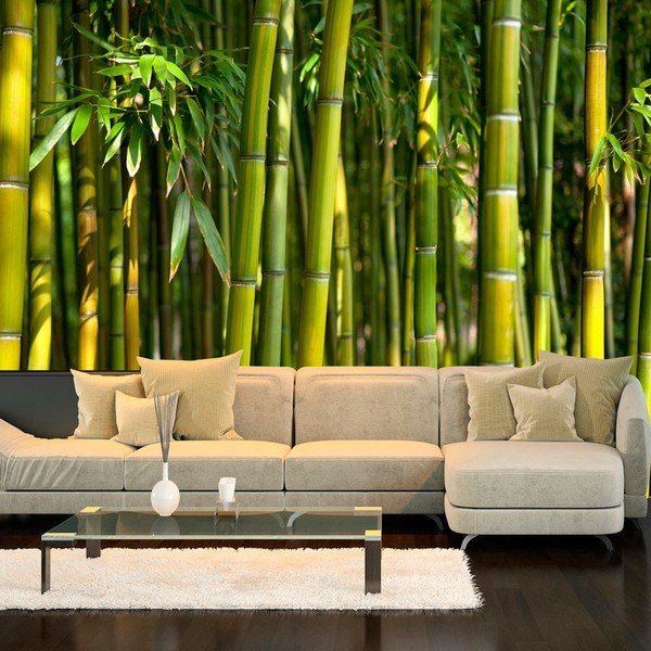 Carta da parati di grande formato, 200 x 140 cm Oriental Garden - Artgeist-image-1