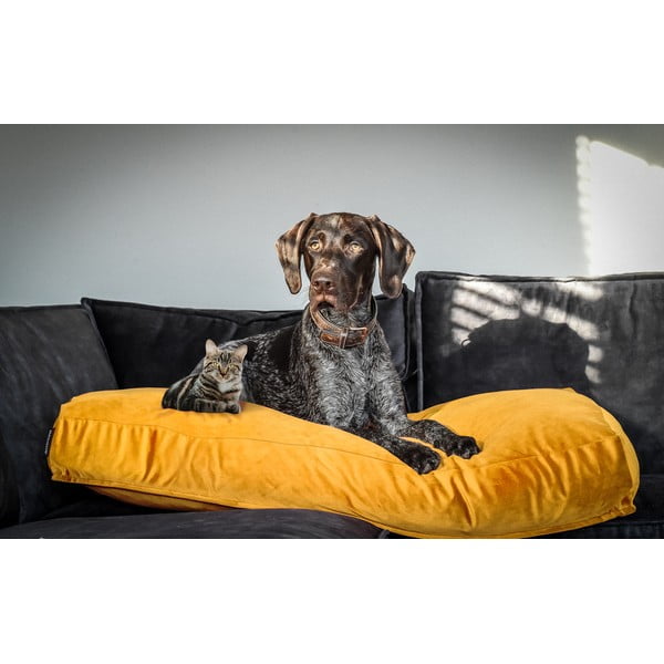 Materasso giallo per cani 80x55 cm - Madison-image-1