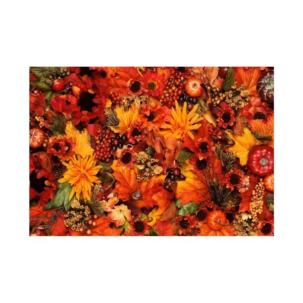 Tappetino Margo, 75 x 52 cm - Zerbelli-image-3