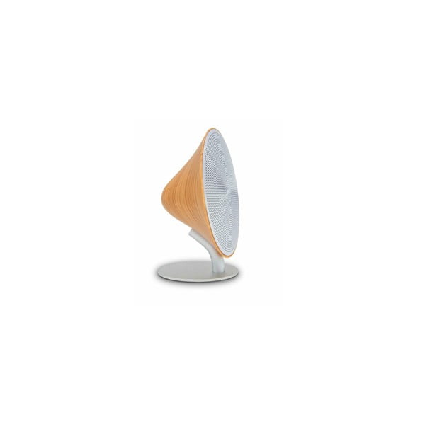 Cassa bluetooth – Gingko