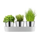 Set di 3 vasi in metallo per erbe aromatiche/auto-irrigazione ø 11 cm - WMF