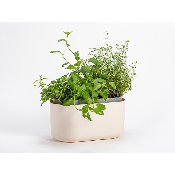 Fioriera beige autoinnaffiante Tolita - Plastia-image-1