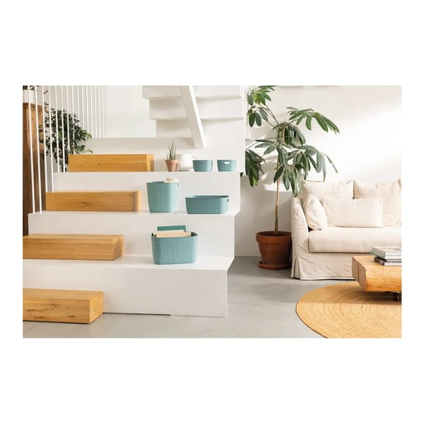 Cestino in plastica 38x29x14 cm Softex - Curver-image-1