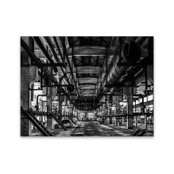 Quadro su tela Silver Oldie, 85 x 115 cm - Styler