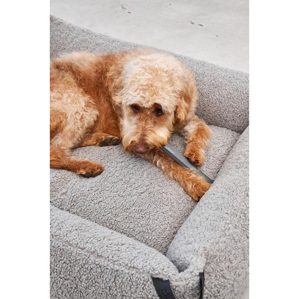 Giocattolo per cani Ramo Slate - MiaCara-image-3
