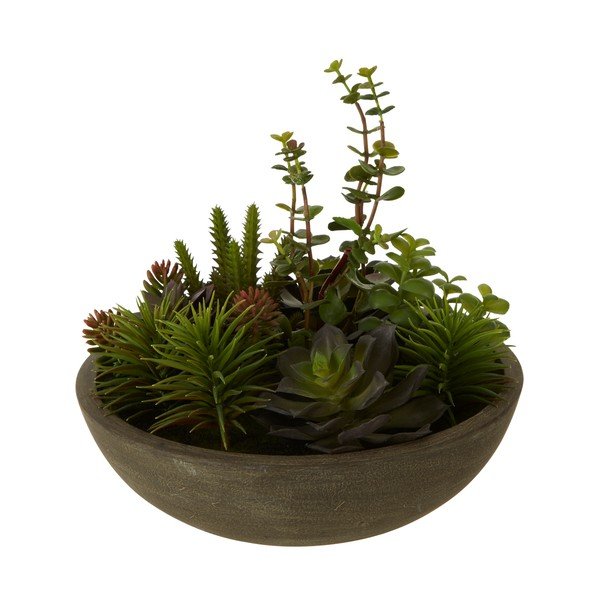 Succulente artificiali in vaso Fiori - Premier Housewares-image-1