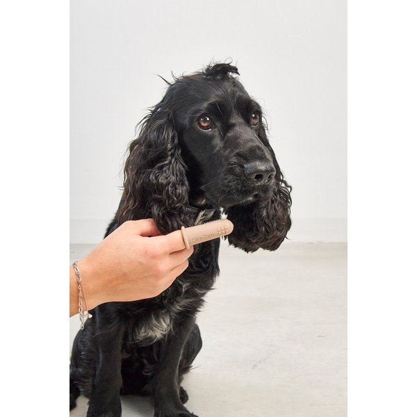 Set di 3 spazzolini per animali domestici Dito - MiaCara-image-2