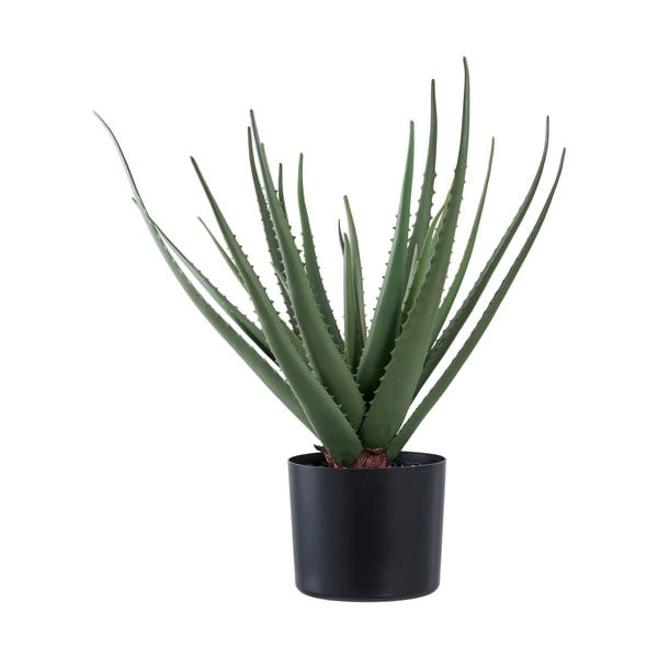 Pianta artificiale (altezza 51 cm) Aloe Vera - House Nordic