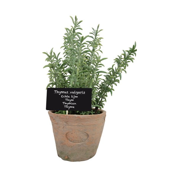 Pianta artificiale (altezza 21,5 cm) Thyme - Esschert Design