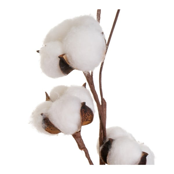Pianta essiccata (altezza 55 cm) Cotton - Casa Selección-image-1