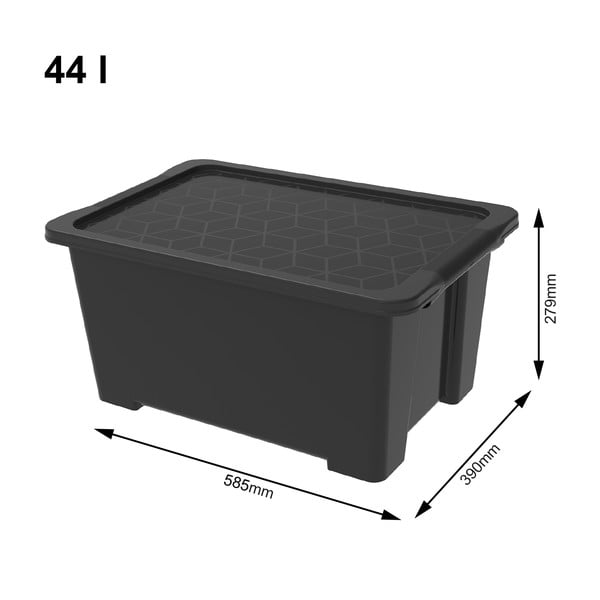 Scatola di plastica con coperchio Evo Easy - Rotho-image-1