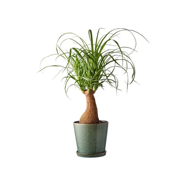 Coprivaso in gres ø 14 cm Gastro Green/Black – Bitz-image-1