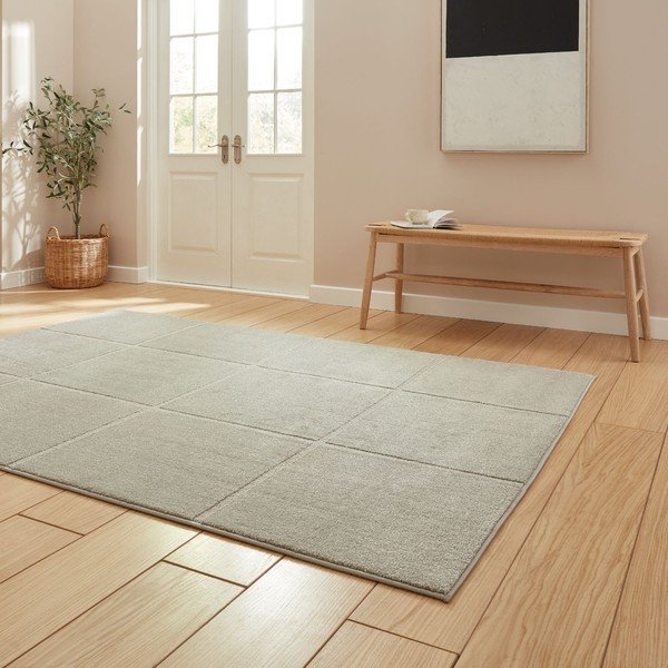 Tappeto grigio chiaro 120x170 cm Elio Silver – Think Rugs-image-2