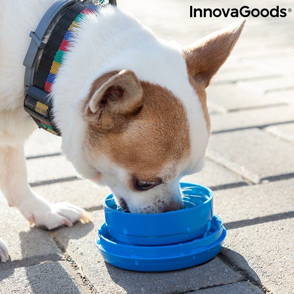 Guinzaglio retrattile per cani 6 in 1 - InnovaGoods-image-2