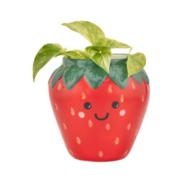 Coprivaso in ceramica ø 10 cm Strawberry – Sass & Belle-image-1