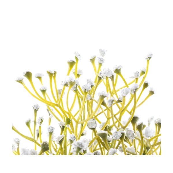 Pianta finta (altezza totale 27 cm) Babi – Restilo-image-2