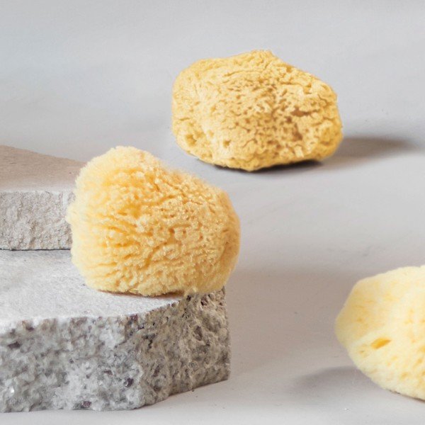 Spugne per la pulizia del viso in un set di 5 pezzi Ocean - Mette Ditmer Denmark-image-4