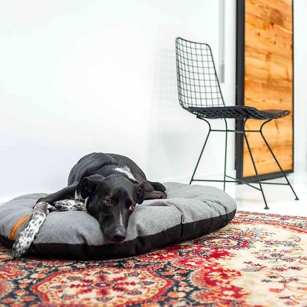 Materasso grigio chiaro per cani 60x85 cm Pill M - Rexproduct-image-1