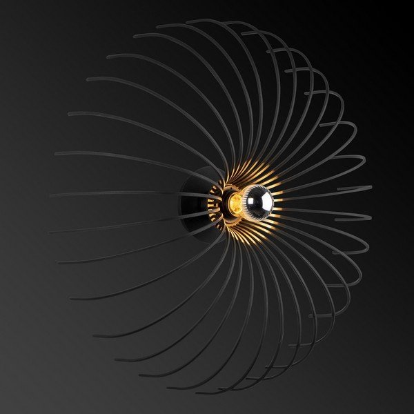 Lampada da parete nera Lion - Homemania Decor-image-1