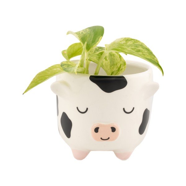 Coprivaso in ceramica ø 7,5 cm Cow – Sass & Belle-image-1