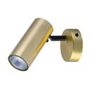 Faretto dorato in metallo 8x16 cm Colly – Candellux Lighting